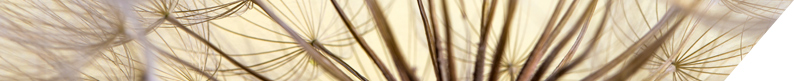 category banner
