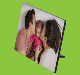 תמונה על עץ 23.11.25