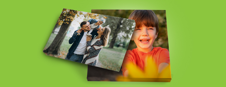 קנבסים NO10 11.12.25