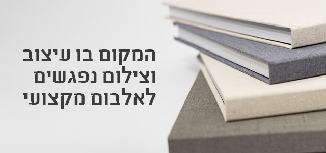 קטלוג כריכות אלבומי Silver